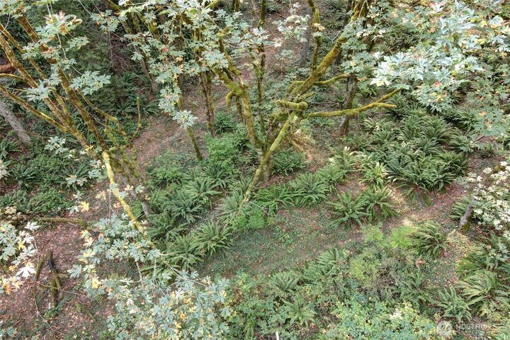 Property Photo: 37 Xxx SE 212th Way WA 98075
