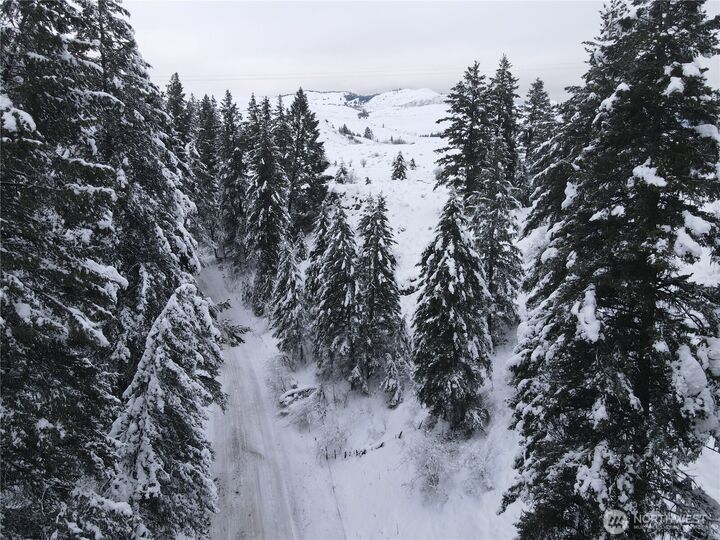 Property Photo:  0 Lot 38  Mountain View Road  WA 98844 