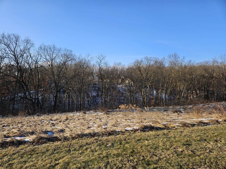 Property Photo:  Tbd Gig Drive (Lot 23)  IL 61036 
