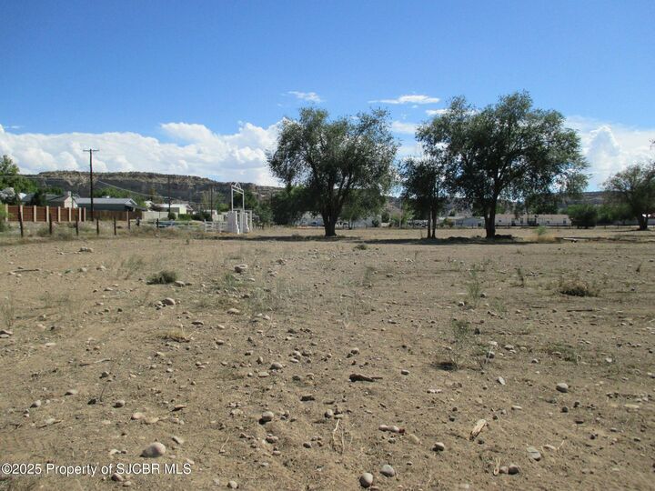 Property Photo:  1305 S Carlton Avenue  NM 87401 