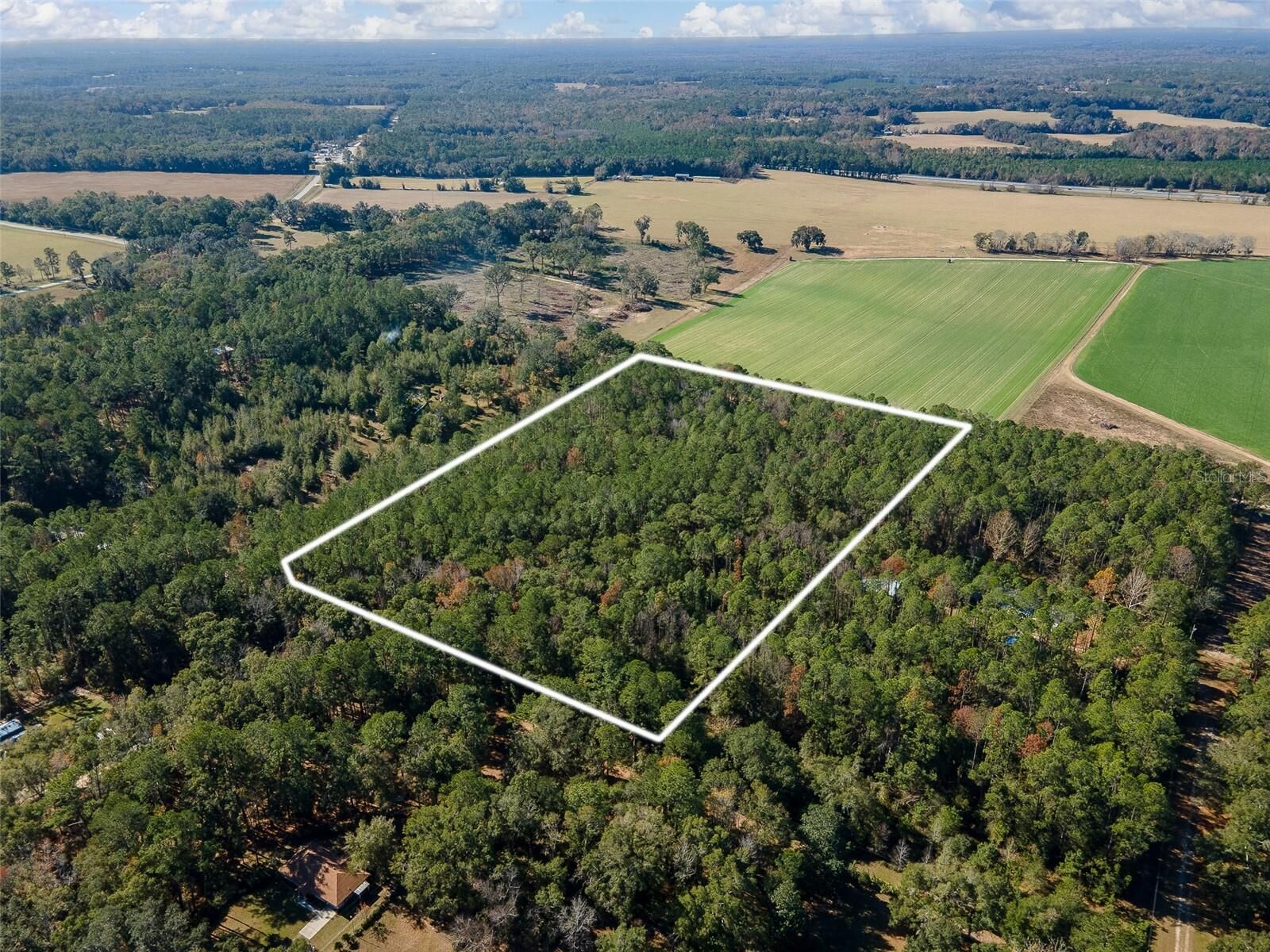 Property Photo:  Tbd N County Rd 1491  FL 32615 