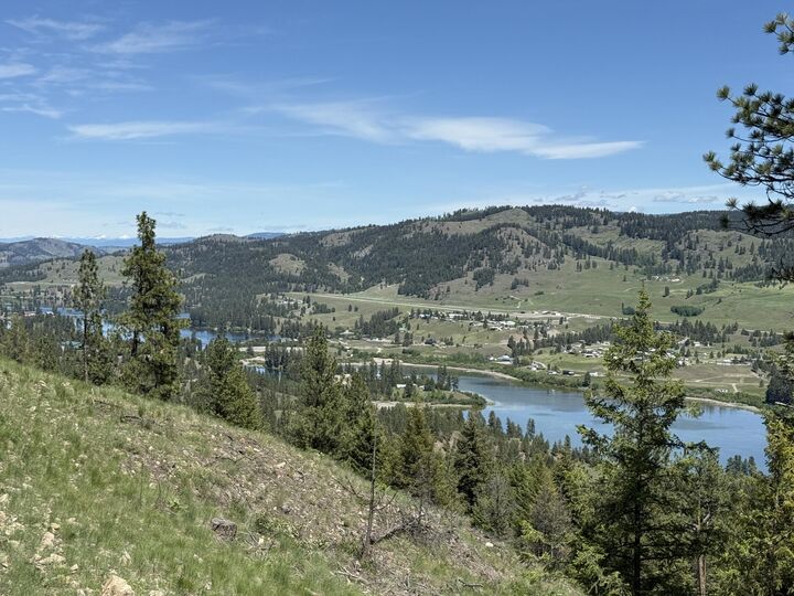 Property Photo: 113 Boulder Way WA 99166