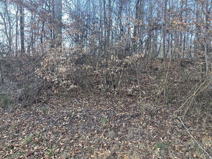 Property Photo:  Lot 15 River Road  TN 37322 