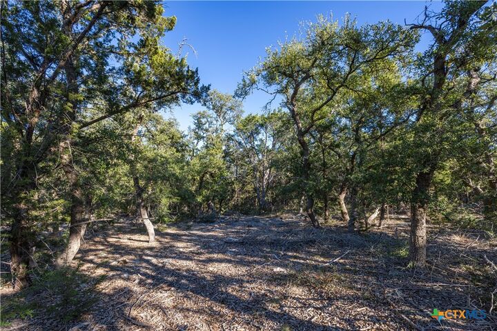 Property Photo:  130 Panorama Drive  TX 78676 