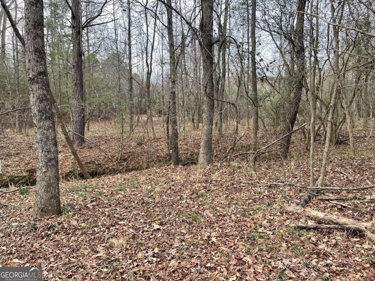 Property Photo:  884 Jackson Trail Road  GA 30680 