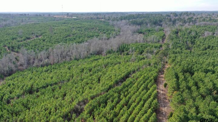 Property Photo:  Tbd Shady Grove Road  TX 75657 