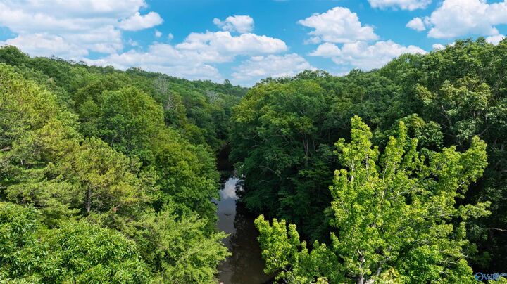 Property Photo:  8.7 Acres County Road 632  AL 35984 