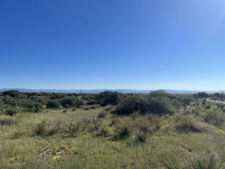 Property Photo:  2764 S Highway 90  NM 88061 