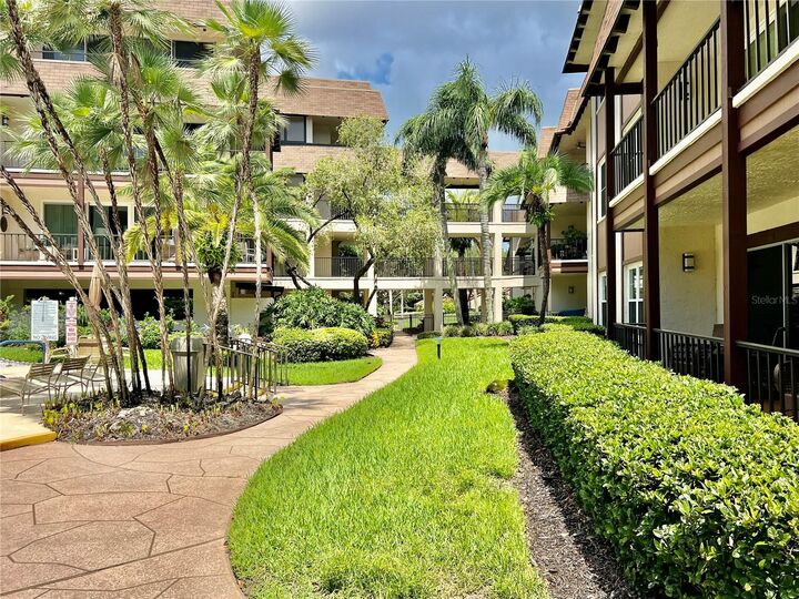 Property Photo: 3021 Countryside Boulevard 44A FL 33761