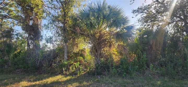 Property Photo:  14025 Paris Lane  FL 33981 