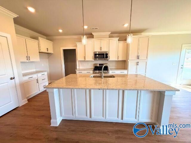 Property Photo: 1302 Vermilion Circle AL 35803