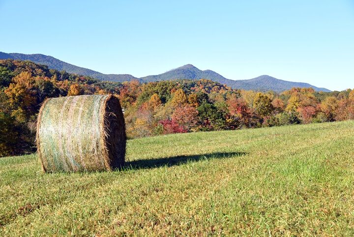 Property Photo:  Tract11b Great Escape Place  GA 30512 