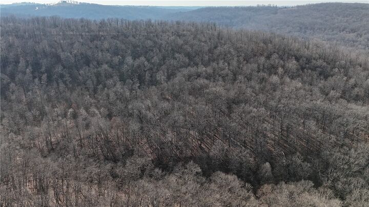 Property Photo:  000 Possum Trot Park Ossum To  AR 72624 