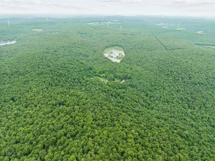 Property Photo:  308 Tennent Road 2  NY 13865 