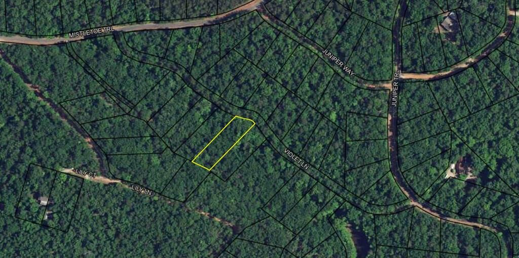 Property Photo:  Blk 38 Lot 02 Violet Avenue  GA 31831 