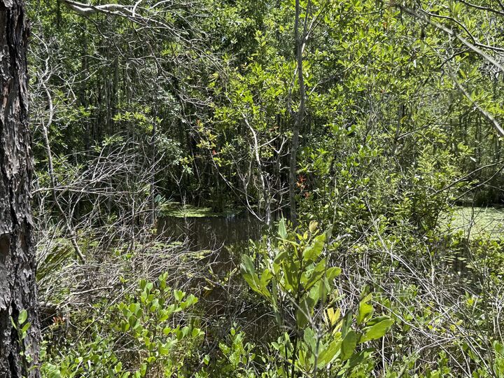 Property Photo:  Lot 39 Blk 68 On Clearwater  FL 32433 