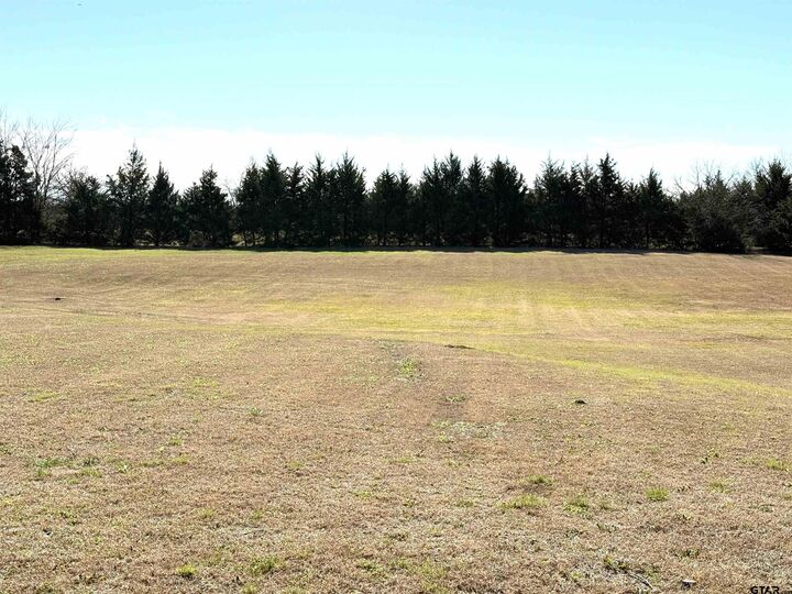 Property Photo: 18445 Fm 137 TX 75477