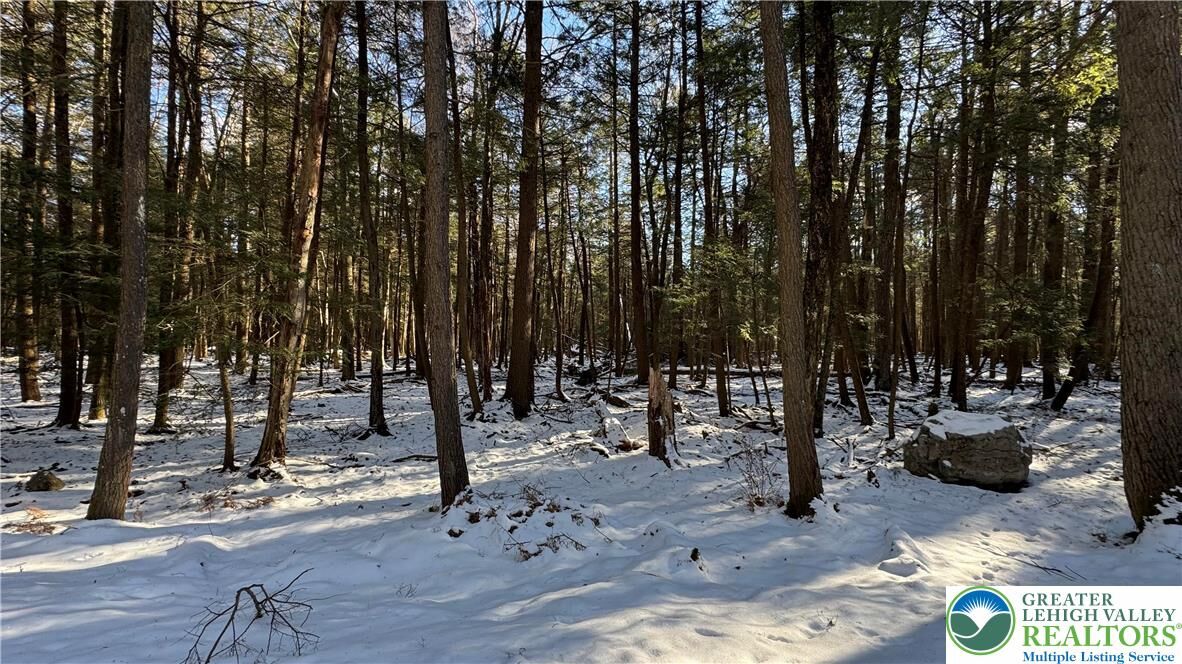 Property Photo:  Treetop Lane  PA 18210 