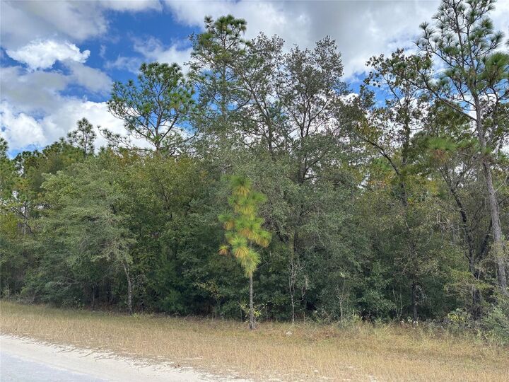 Property Photo:  Lot 17 Canyon Swallow Road  FL 34614 
