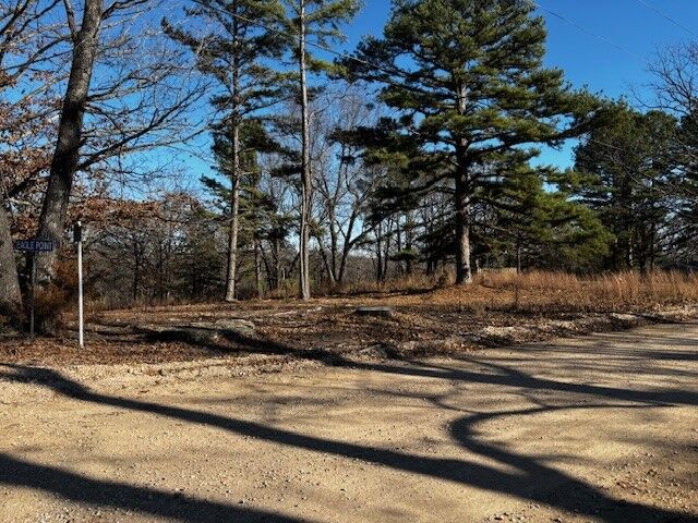 Property Photo:  19244 Eagle Point Road  AR 72732 