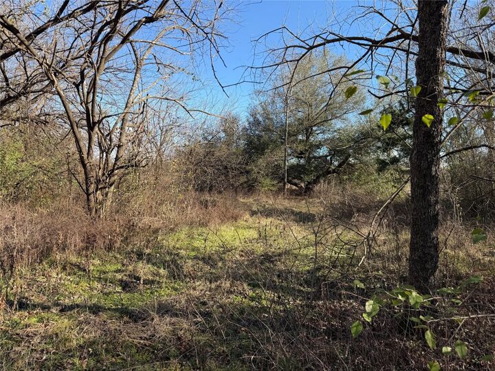 Property Photo:  Tbd County Road 925 Tract 17 Road  TX 76667 