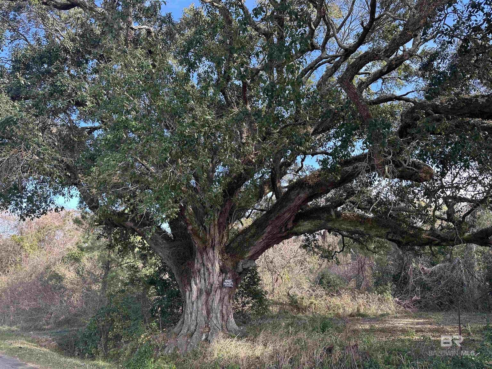 Property Photo:  26702 W County Road 54  AL 36526 