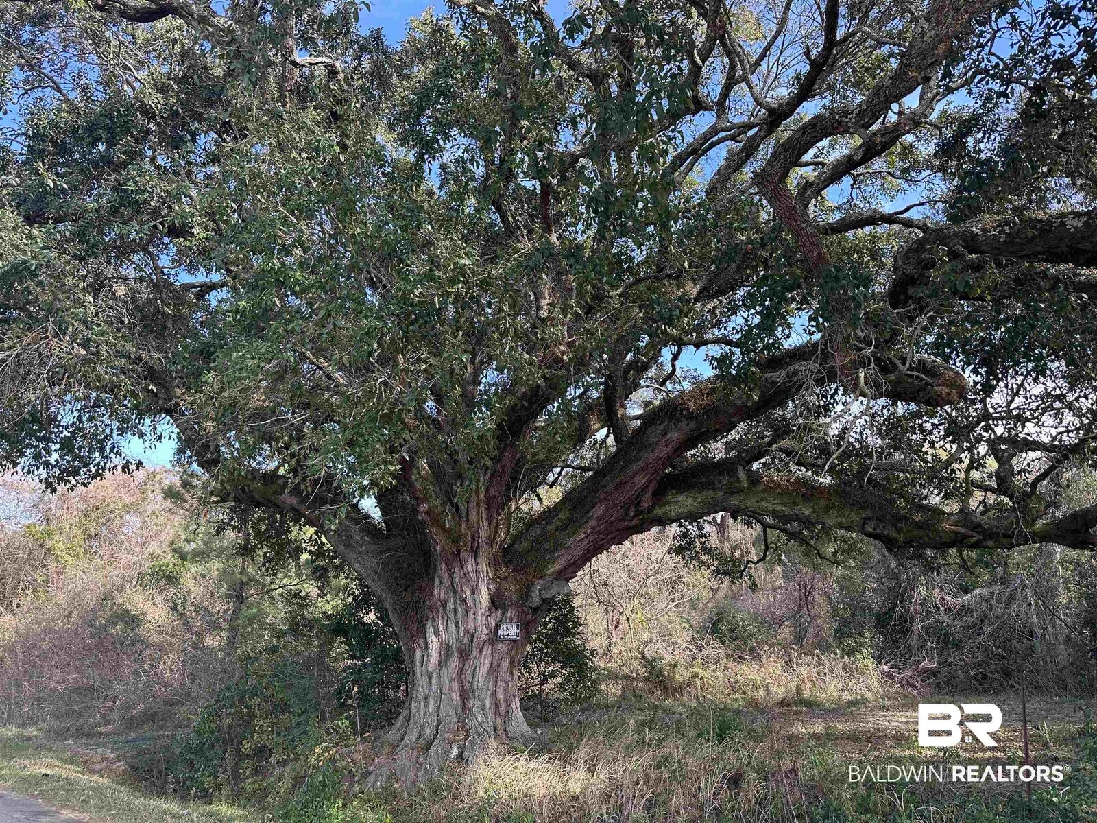 Property Photo: 26702 W County Road 54 AL 36526