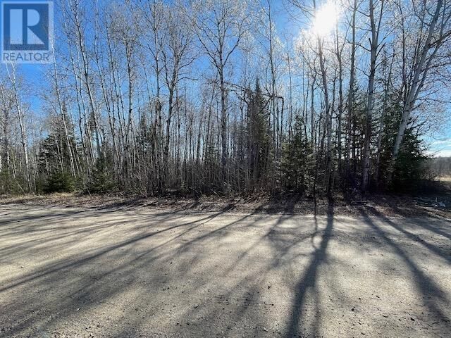 Property Photo:  199 Lakeview Rd  ON P8N 2Y4 