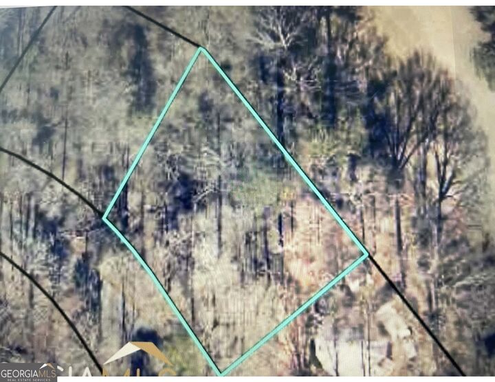 Property Photo:  0 Turtle Cove Throughway  GA 31064 