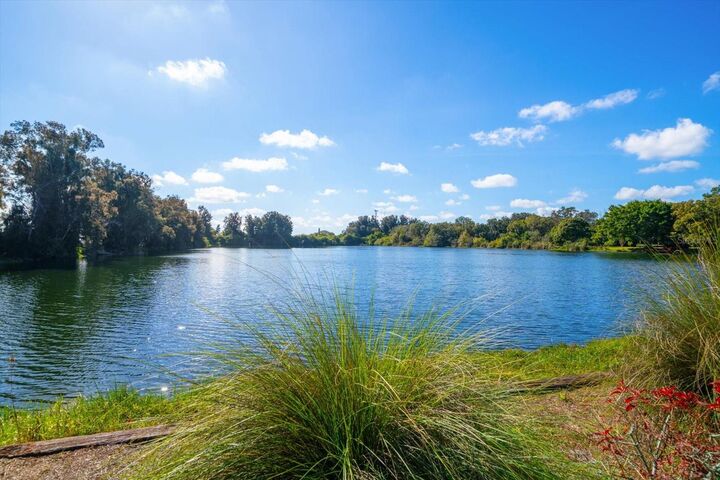 Property Photo:  2402 Pine Hammock  FL 33764 