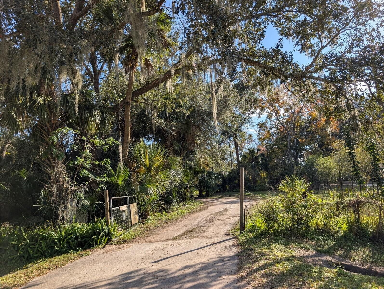 Property Photo:  25314 Luke Street  FL 32709 