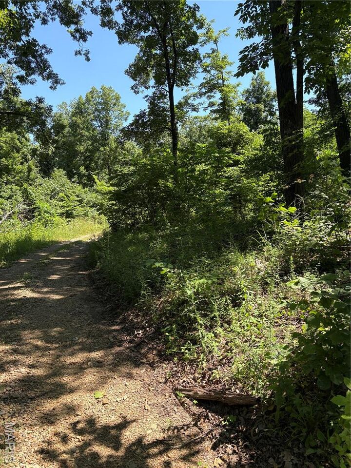 Property Photo:  511 A Wayne  MO 63763 