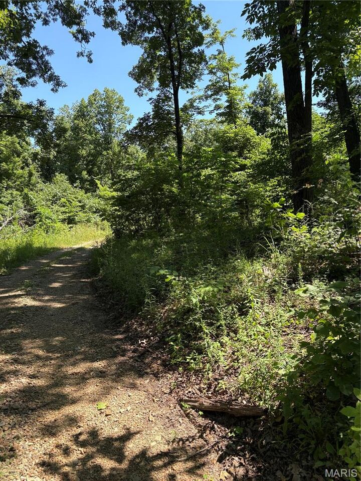 Property Photo: 511 A Wayne MO 63763