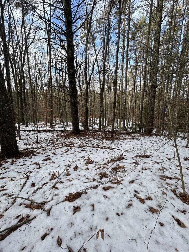 Property Photo:  80 Center Hill Road  NH 03234 