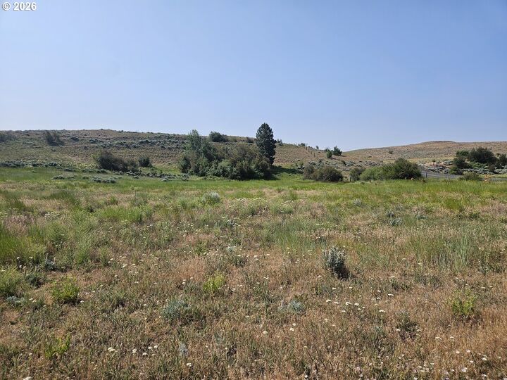 Property Photo:  Olson Rd  WA 98620 