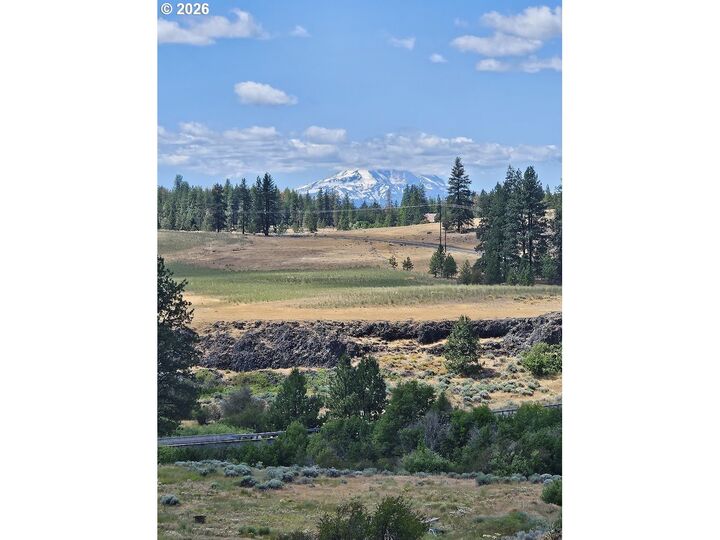 Property Photo:  Olson Rd  WA 98620 