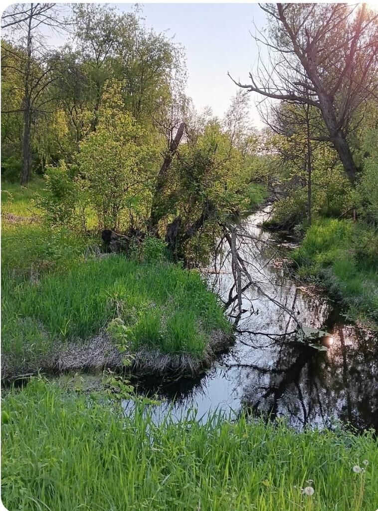 Property Photo:  L1 State Hwy 22  WI 53949 