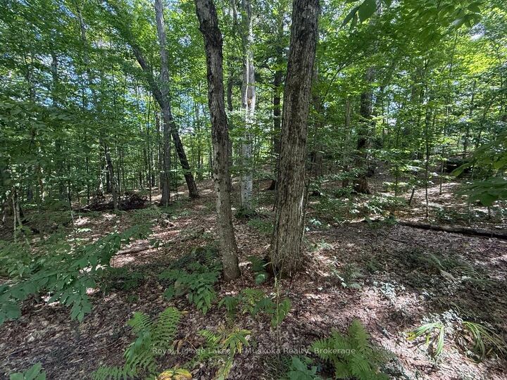 Property Photo:  Lot 85 Brennan Circle  ON P1H 2J2 