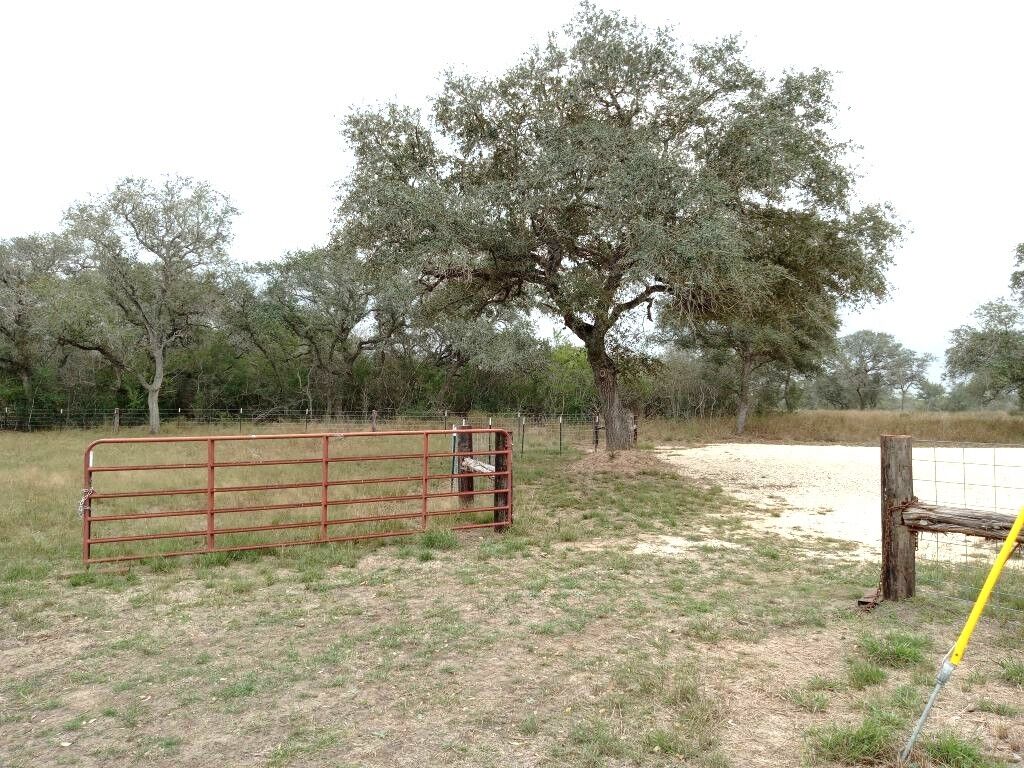 Property Photo:  251 Lefty Lane Lane  TX 77963 