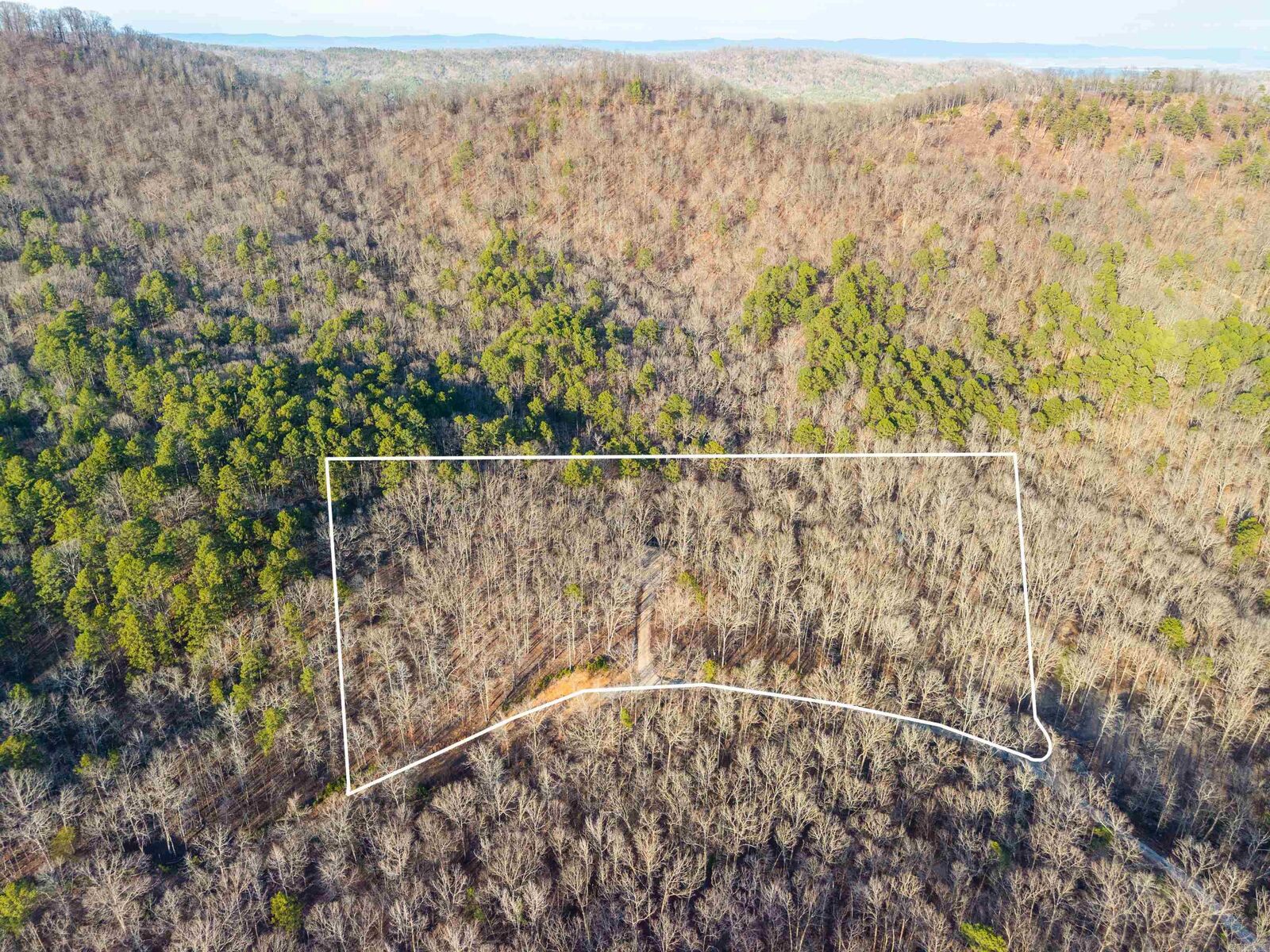 Property Photo:  116 Blackcat Trail  AR 71968 