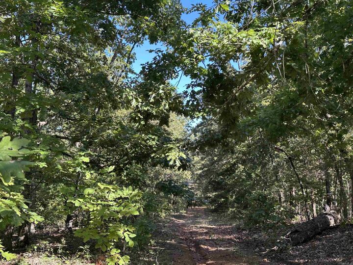 Property Photo: 1609 Old Strawberry Lane AR 72512