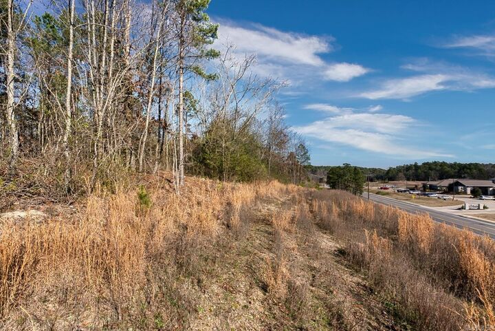 Property Photo:  2600 Block Park Avenue, Lot 2L  AR 71901 