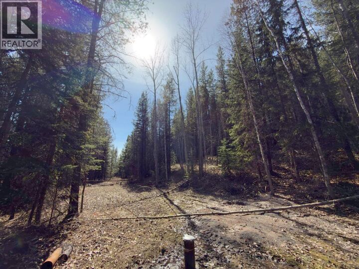 Property Photo:  Km 53 Christian Valley Road  BC V0H 2B0 