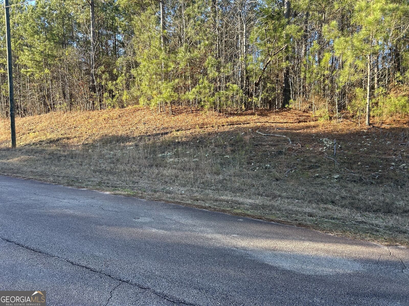 Property Photo:  0 Erskine Drive Lot 16  GA 31064 