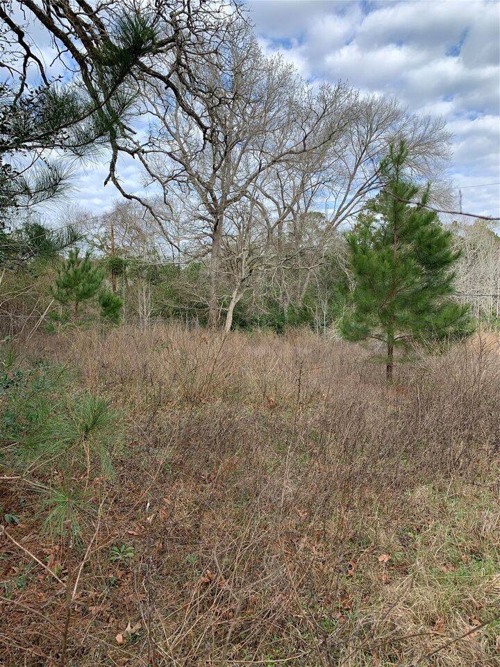 Property Photo:  373 Johnson Road  TX 77320 