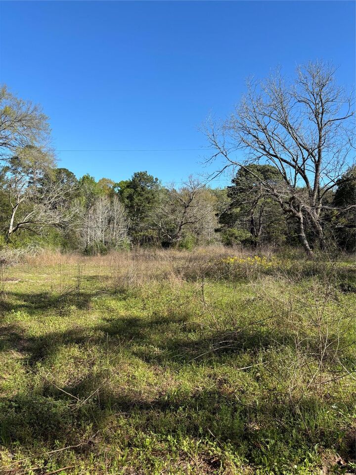 Property Photo:  373 Johnson Road  TX 77320 
