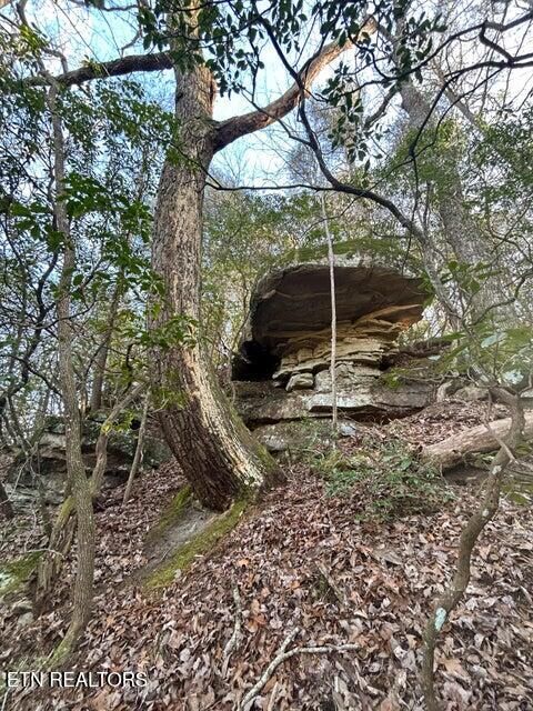 Property Photo:  0 Deerhead Rd  TN 37327 