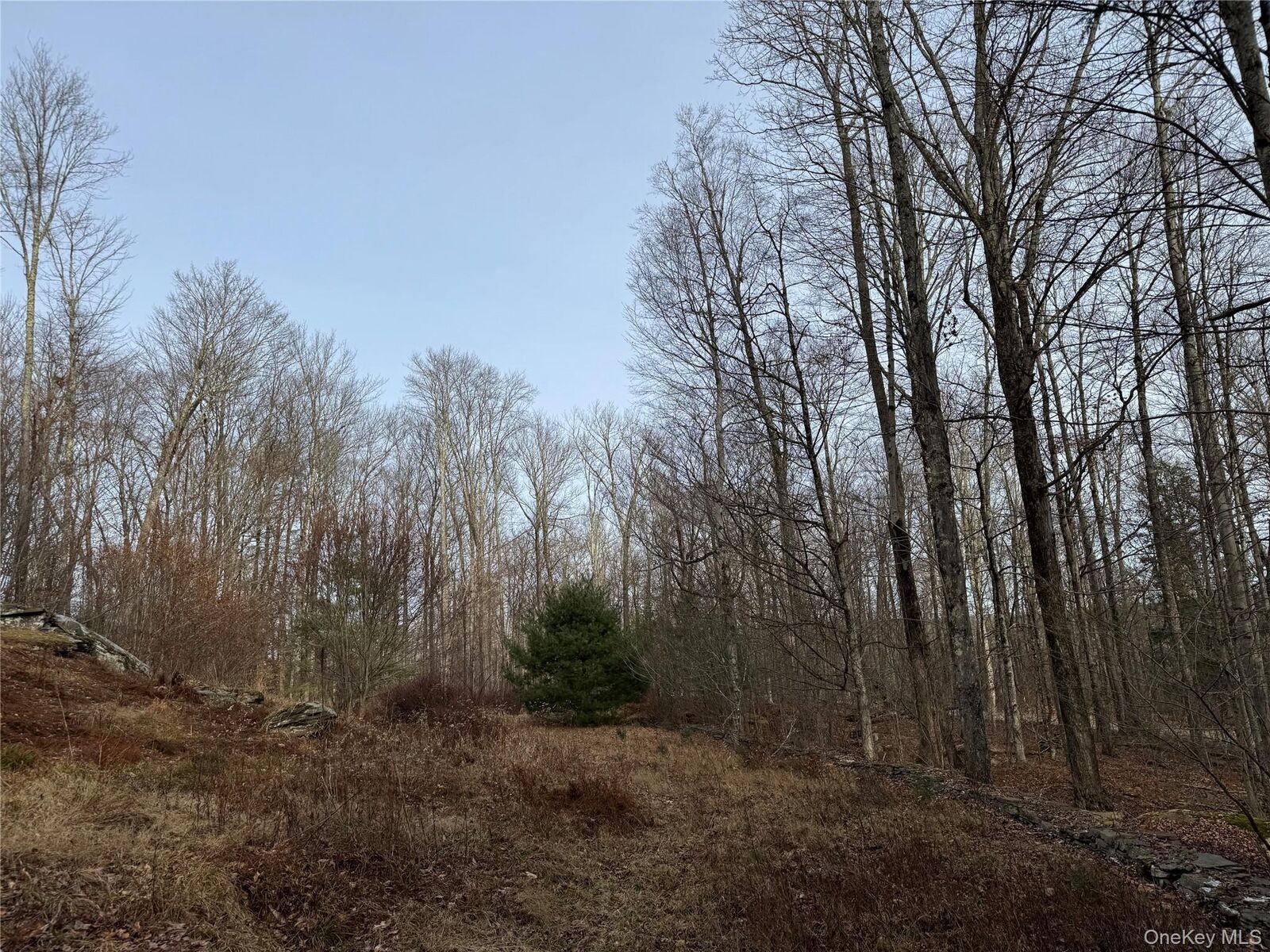 Property Photo:  Hilltop Road  NY 12701 