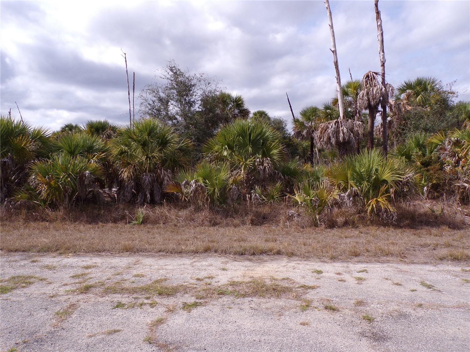 Property Photo:  Copernicus Road  FL 34288 