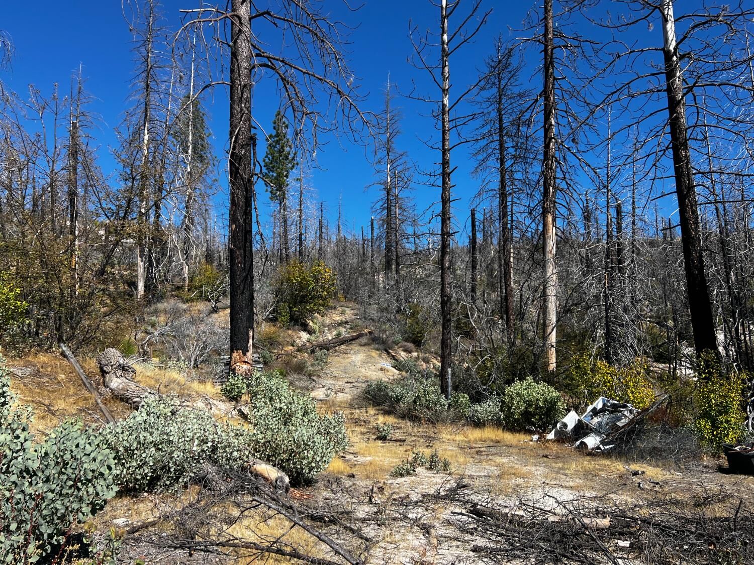 Property Photo:  0 Bald Rock Road  CA 95916 